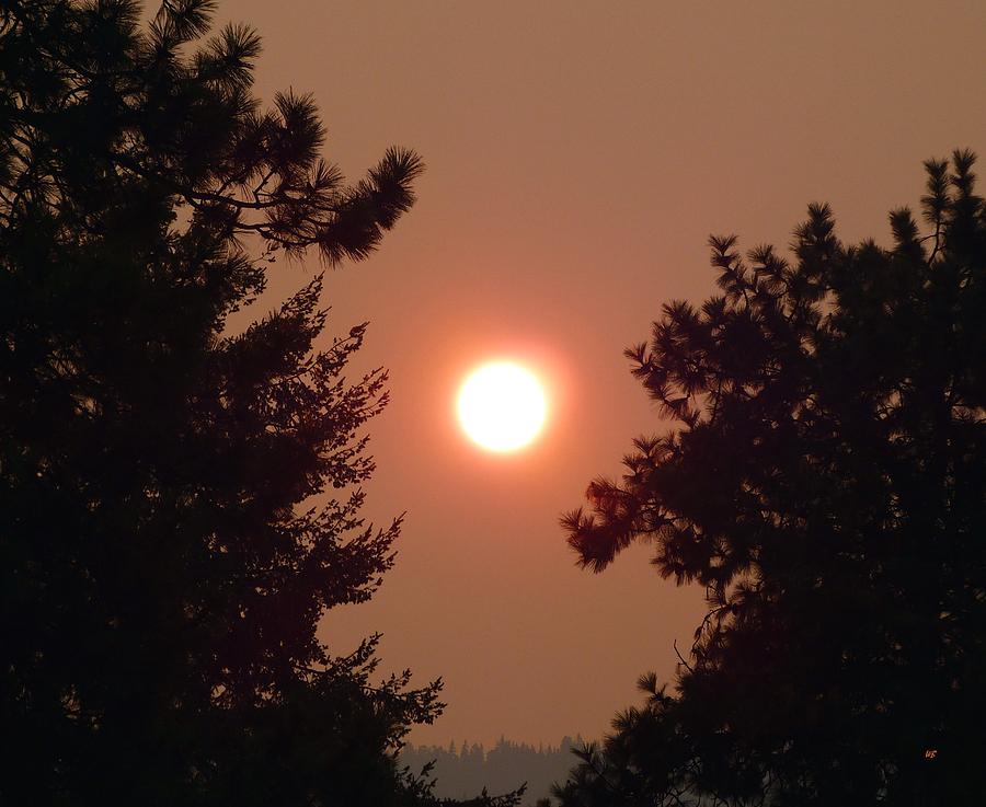 Smoke Shrouded Sun   Photograph by Will Borden