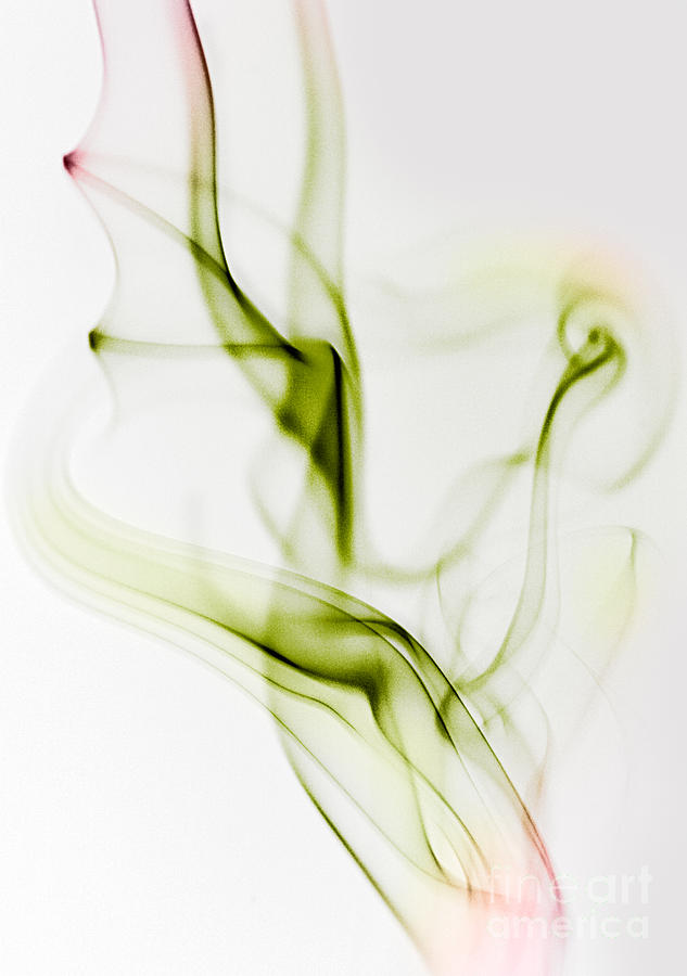 Dragon Photograph - Smoke Wings by Nailia Schwarz