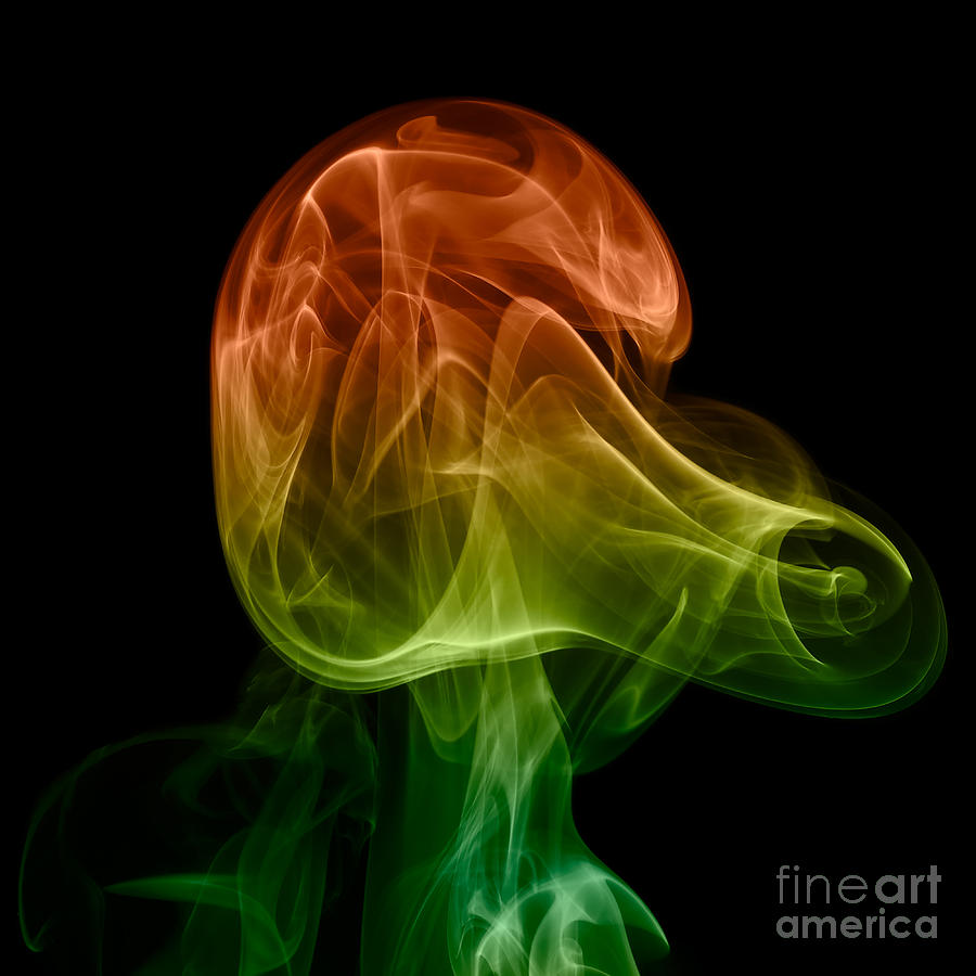 smoke XXVIII Photograph by Joerg Lingnau