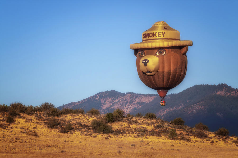 Smokey Bear Balloon Photograph by Marnie Patchett