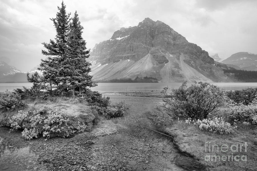 Smokey Bow Lake Scene Black And White Photograph by Adam Jewell