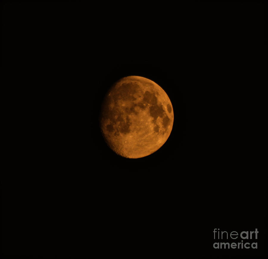 Smokey Moon Photograph by Ann E Robson