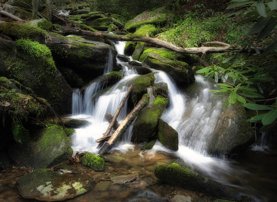 Great Smoky Mountains National Park Stream Photograph by Jerry Fornarotto