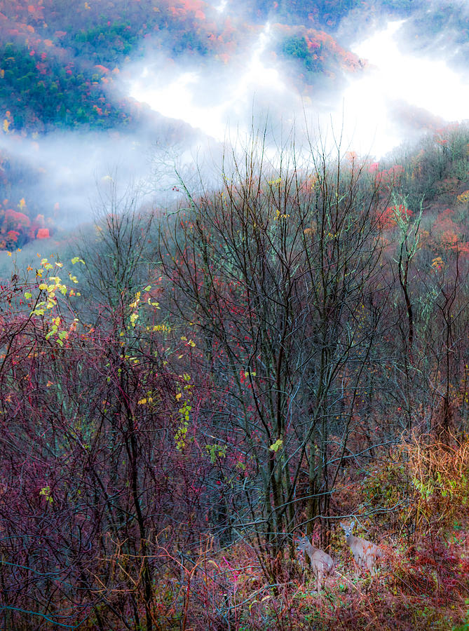 Smokey Mountain Ridge Photograph by Karen Wiles