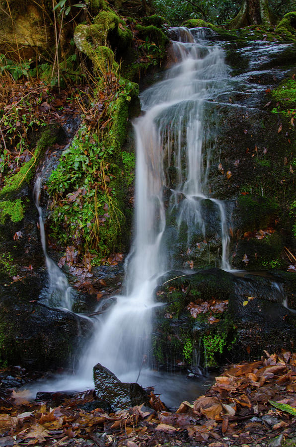 Smoky Mountain Waterfall Photograph by Gales Of November