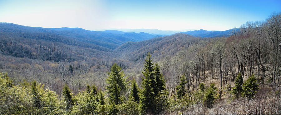 Smokey Mountains Pan Photograph by Lindsey Weimer