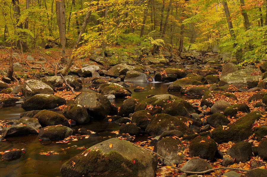  Stream In Autumn Photograph by Stephen Vecchiotti