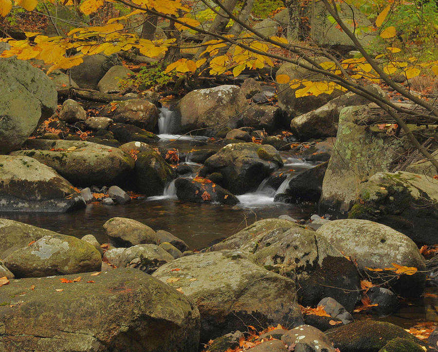 Waterfall in Autumn #8 Photograph by Stephen Vecchiotti