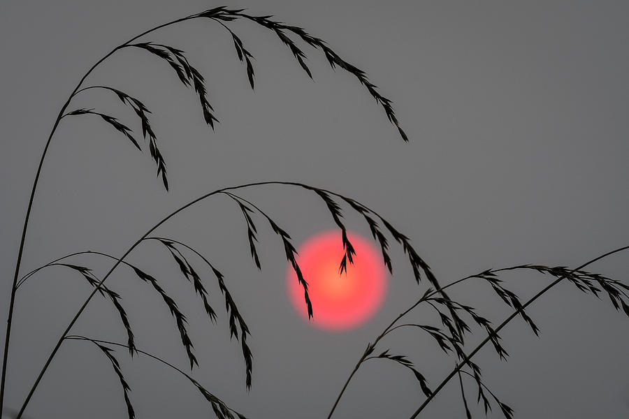 Smokey Sunset Photograph by Robert Potts