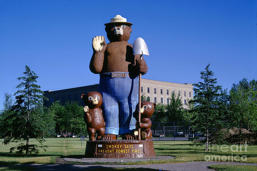 Smokey the Bear, Cubs, Minnesota Photograph by Wernher Krutein
