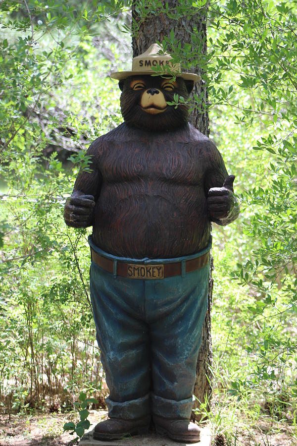 Smokey the Bear in New Mexico Photograph by Colleen Cornelius