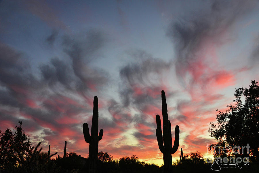 Smokin Sunset Photograph by Joanne West