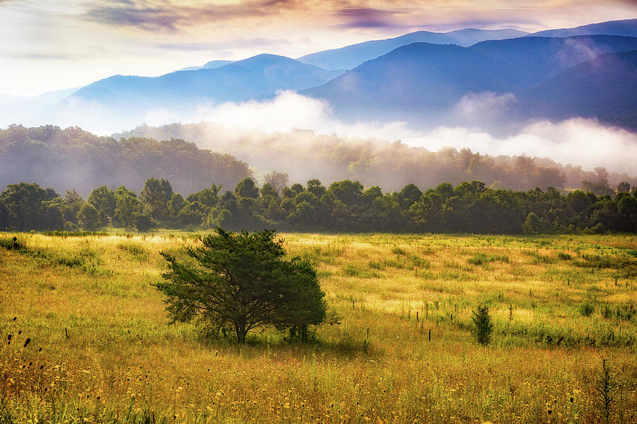 Smoky Cades Cove Photograph by Todd Ryburn