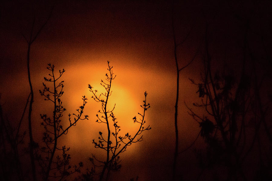 Smoky Moon Photograph by Jay Stockhaus