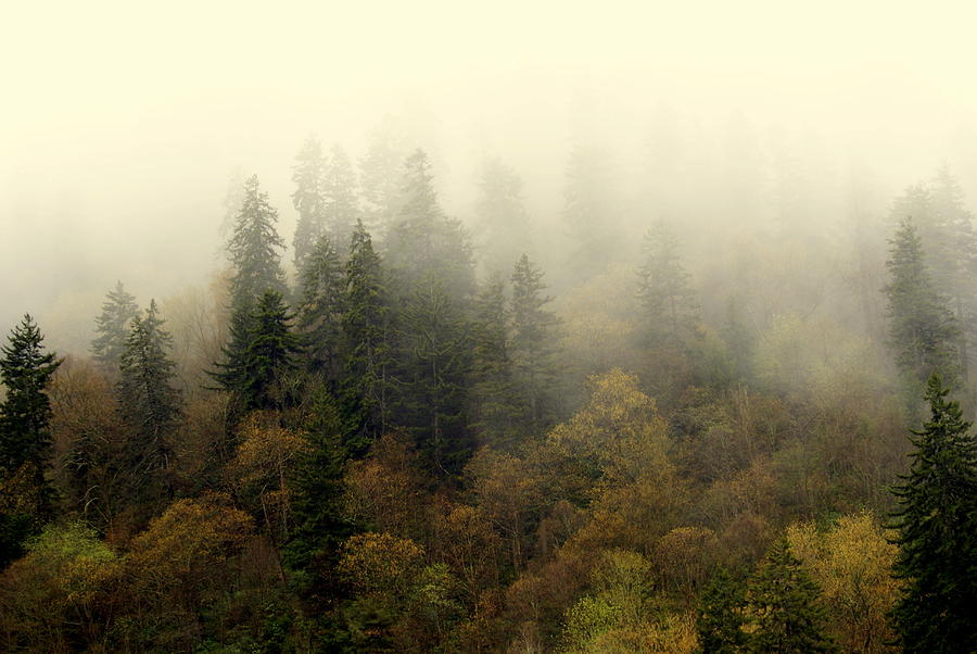 Smoky Mount Horizontal Photograph by Marty Koch