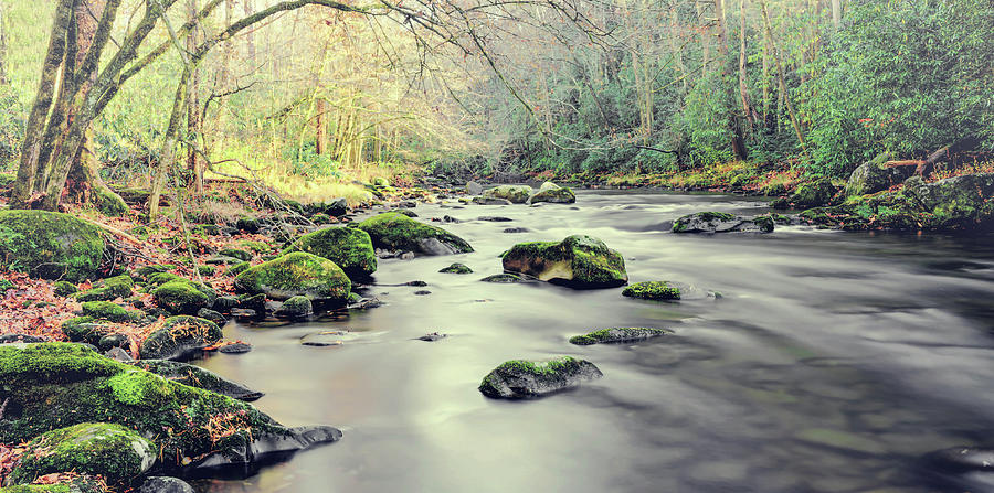 Landscape Photograph - Smoky Mountain by Ahmed Shanab Landscape Photograph - Smoky Mountain by Ahmed Shanab