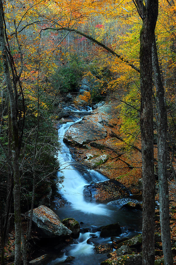 Smoky Mountain Autumn Photograph by Mike Eingle