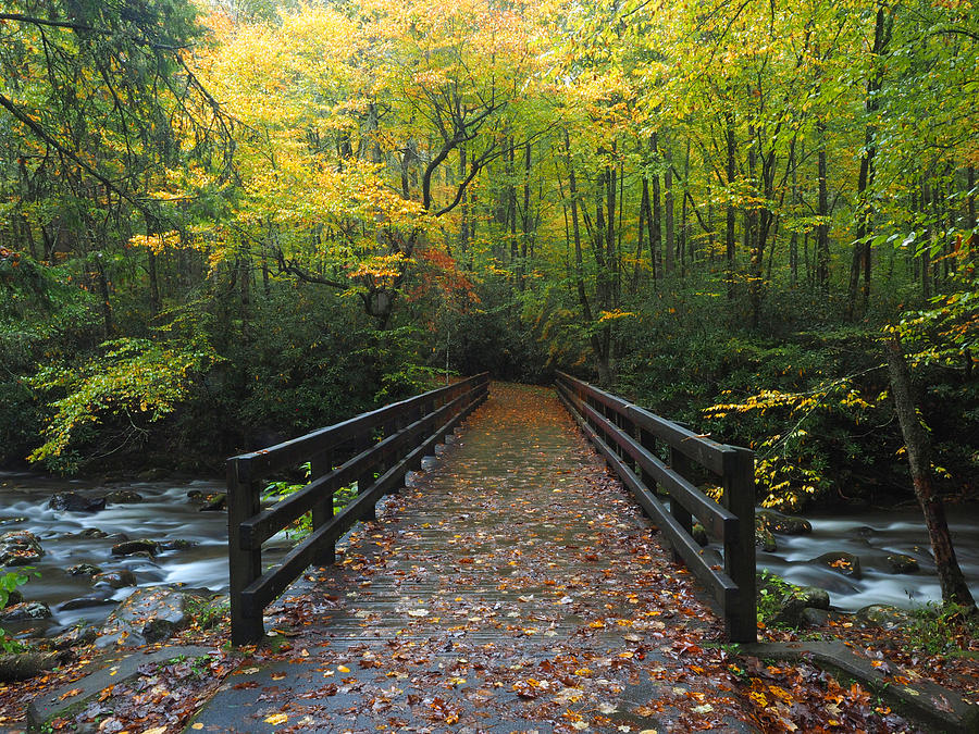 Smoky Mountain Bridge Photograph by Don Keisling