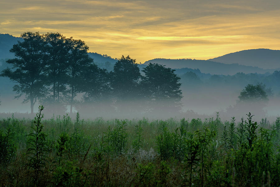 Mountain Photograph - Smoky Mountain Dawn by Eric Albright