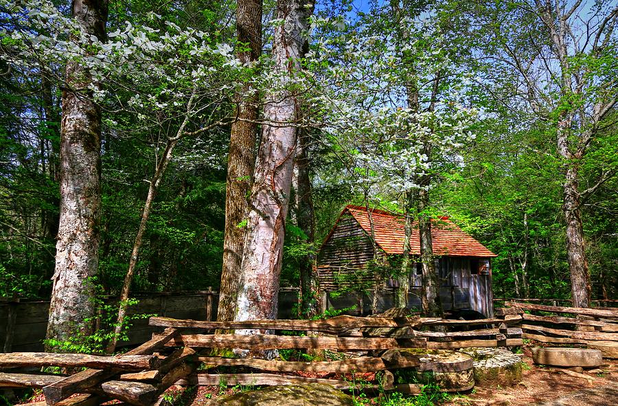 Tree Photograph - Smoky Mountain Grist Mill Among The Dogwoods by Carol Montoya