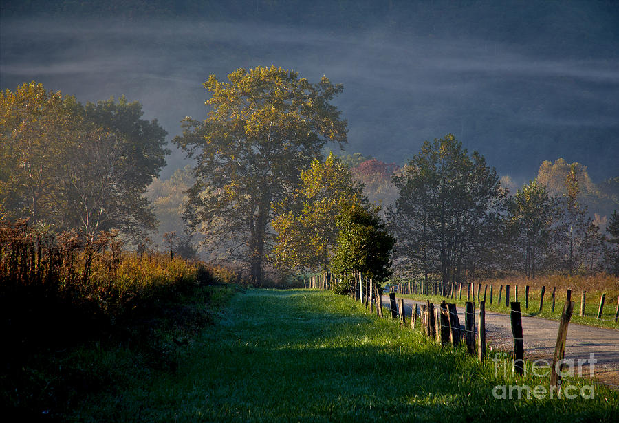 Smoky Mountain Morning Photograph by Douglas Stucky