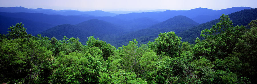 Smoky Mountain National Park Photograph by Panoramic Images
