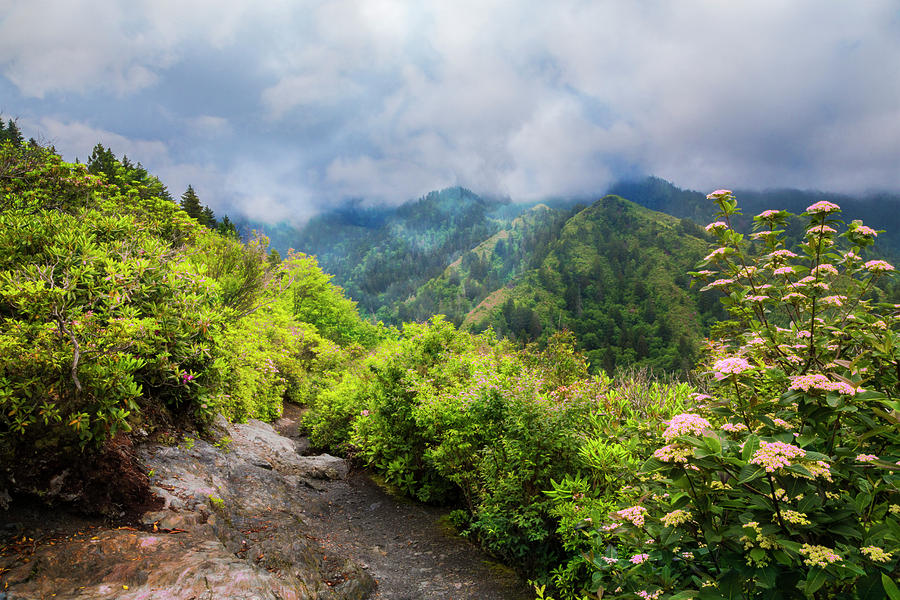 Smoky Mountain Overlook Photograph by Debra and Dave Vanderlaan