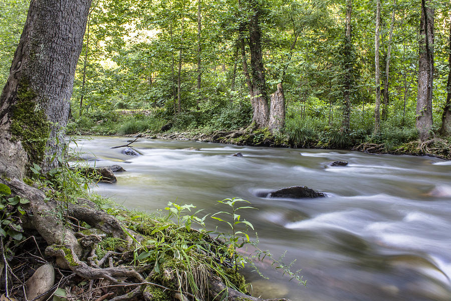 Smoky Mountain River in Summer  Photograph by John McGraw