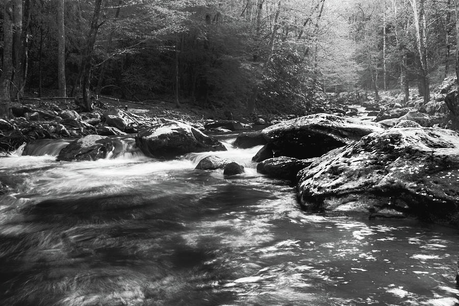 Smoky Mountain River Photograph by Jay Stockhaus