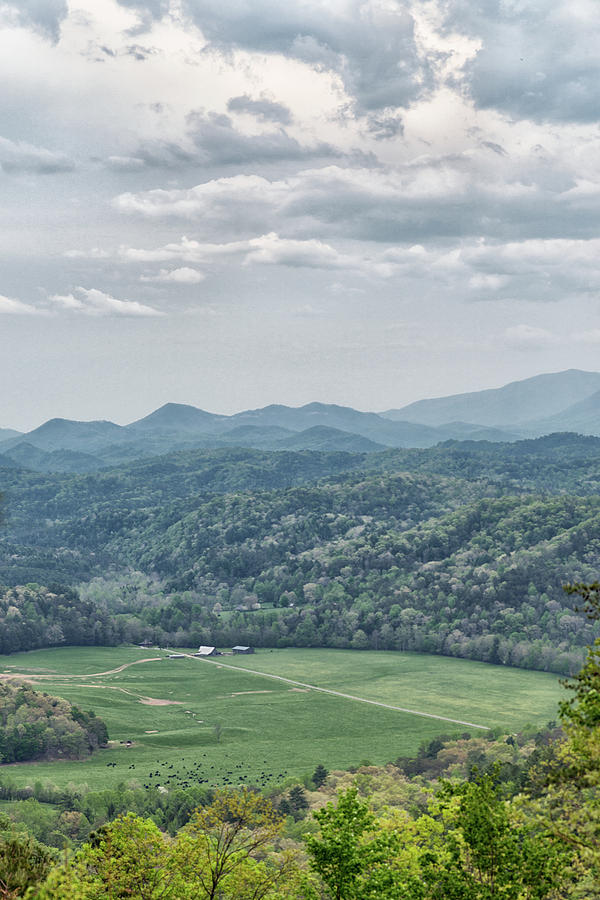 Smoky Mountain Scenic View Photograph by Victor Culpepper