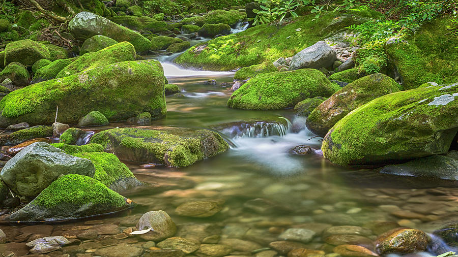 Nature Photograph - Smoky Mountain Serenity by Stephen Stookey