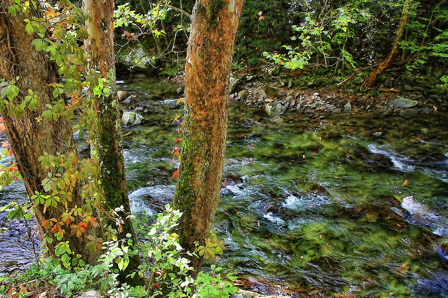 Smoky Mountain Stream Photograph by HH Photography of Florida