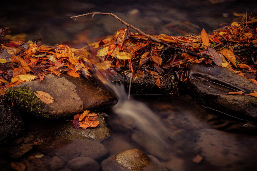 Smoky Mountain Stream in Fall Photograph by Teri Virbickis
