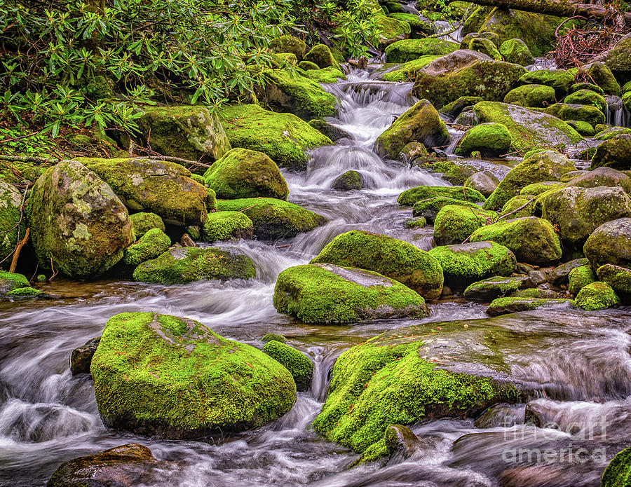 Smoky Mountain Stream Photograph by Nick Zelinsky Jr