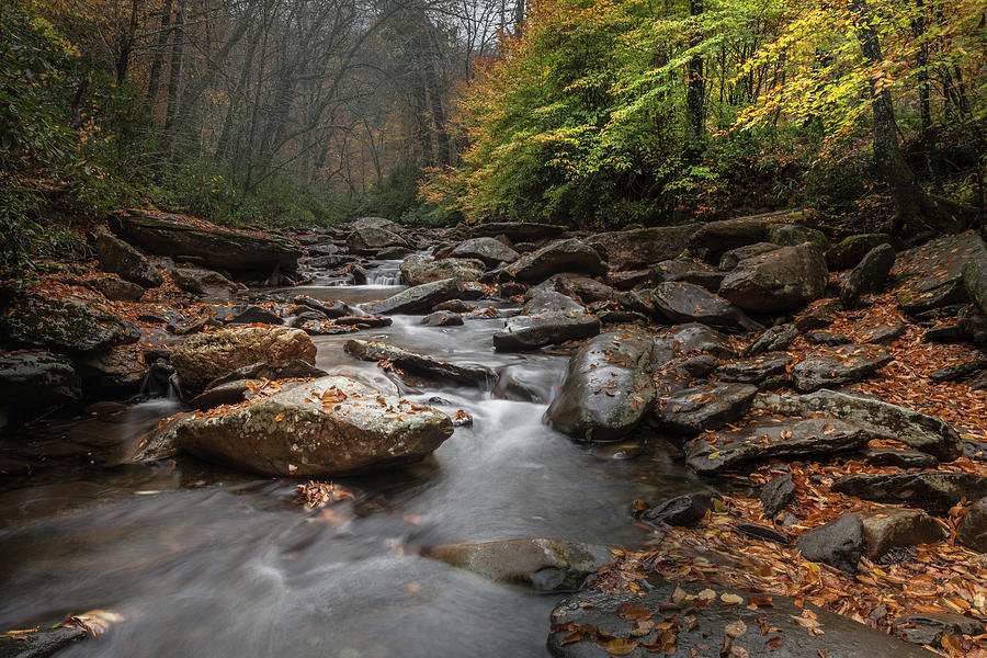 Smoky Mountain Stream Photograph by Scott Slone