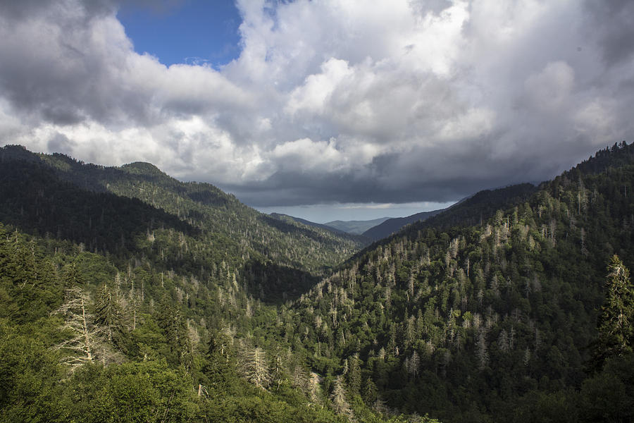 Smoky Mountain Valley  Photograph by John McGraw