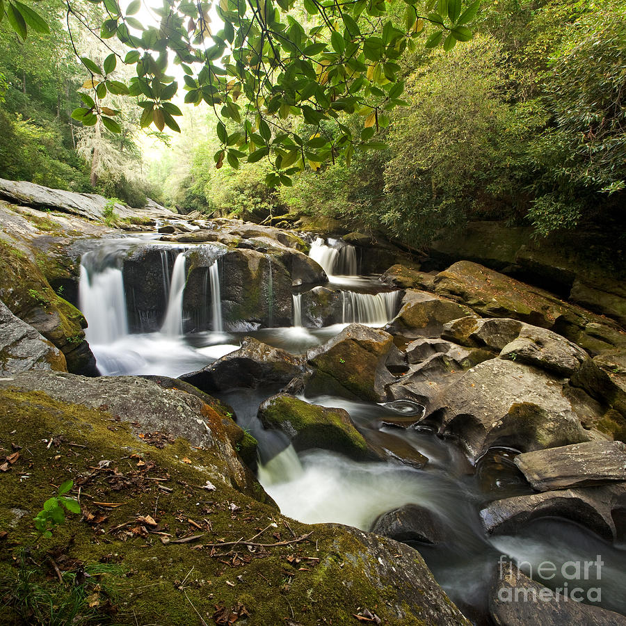 Jungle Photograph - Smoky Mountain Waterfall by Matt Tilghman
