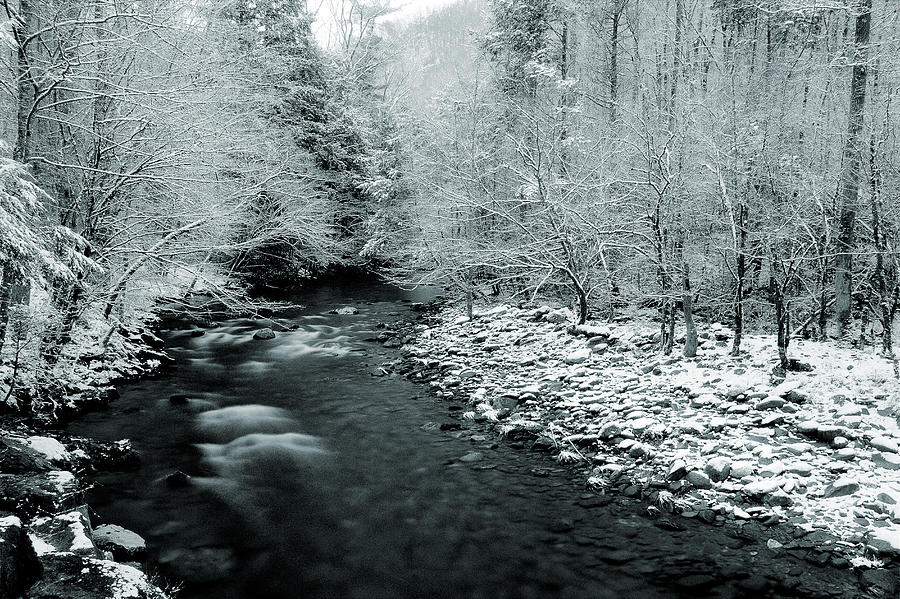 Smoky Mountain Winter II Photograph by Mike Eingle