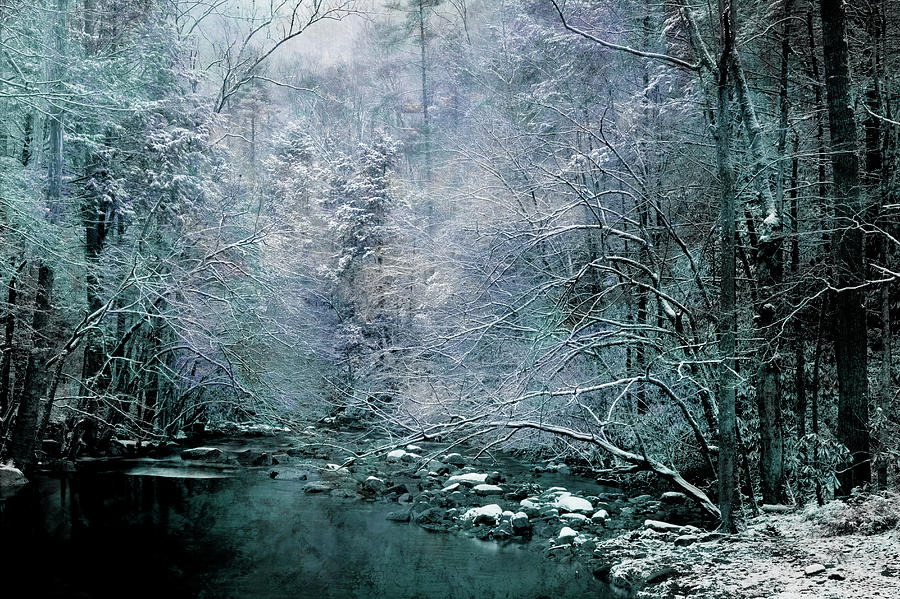 Smoky Mountain Winter Photograph by Mike Eingle