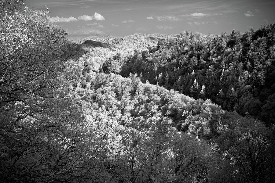 Smoky Mountains Photograph - Smoky Mountains 10 by Paul Bartoszek