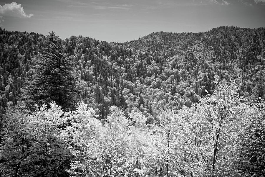 Smoky Mountains Photograph - Smoky Mountains 2 by Paul Bartoszek