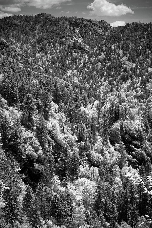 Smoky Mountains Photograph - Smoky Mountains 5 by Paul Bartoszek