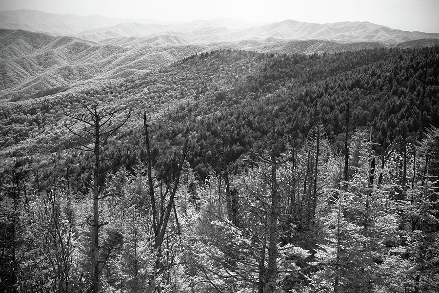 Smoky Mountains Photograph - Smoky Mountains 9 by Paul Bartoszek