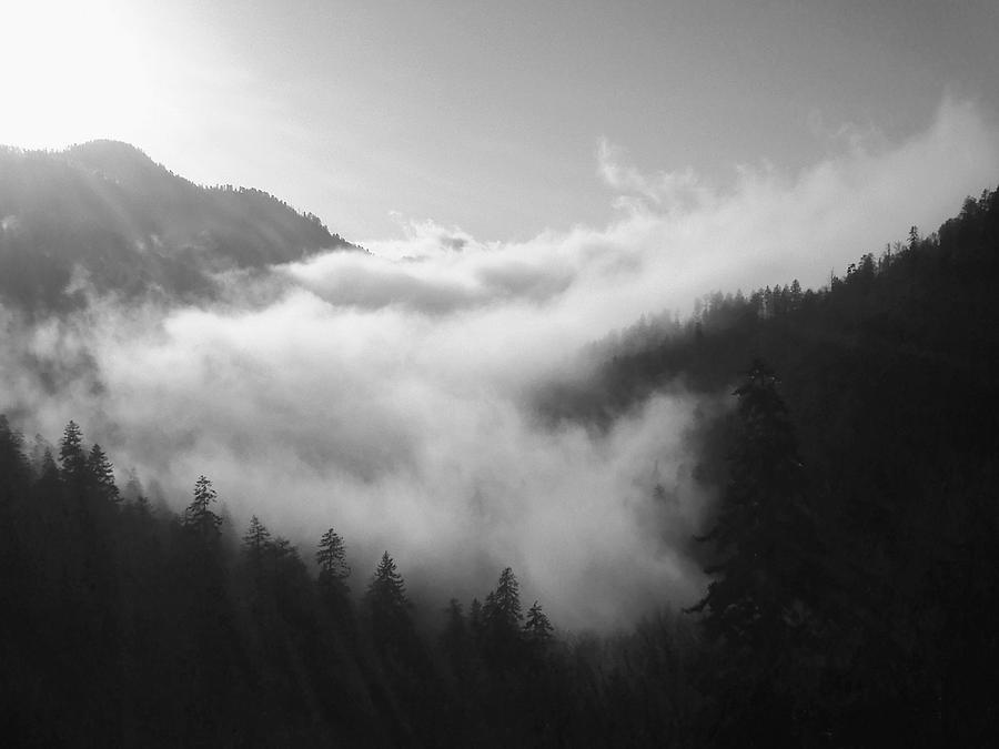 Smoky Mountains Above the Fog Black and White Edition Photograph by William Slider