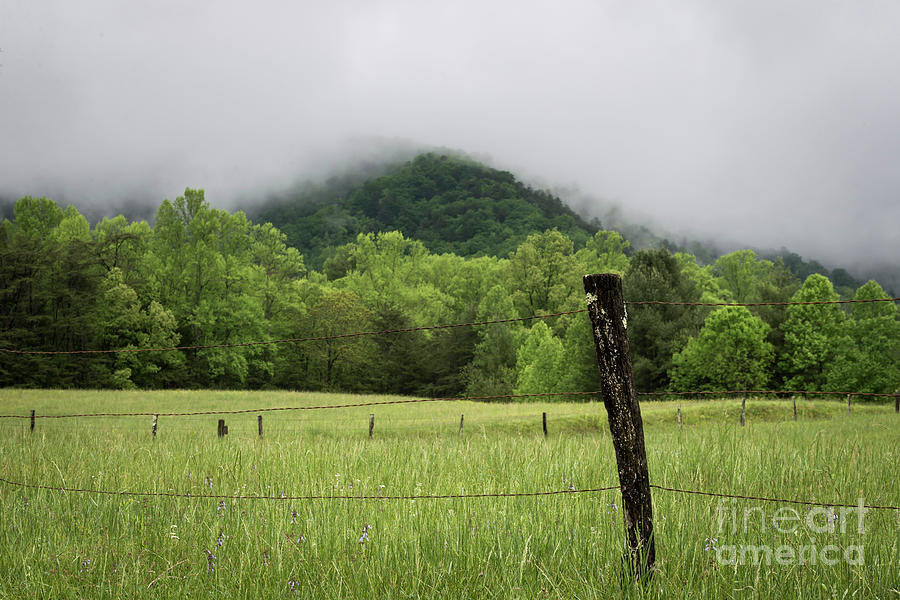Smoky Mountains Photograph by Andrea Silies