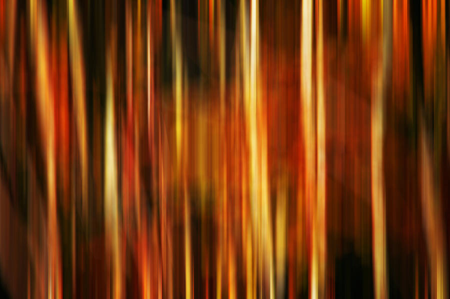Smoky Mountains Fall Colors Digital Abstracts Motion Blur Photograph by Rich Franco