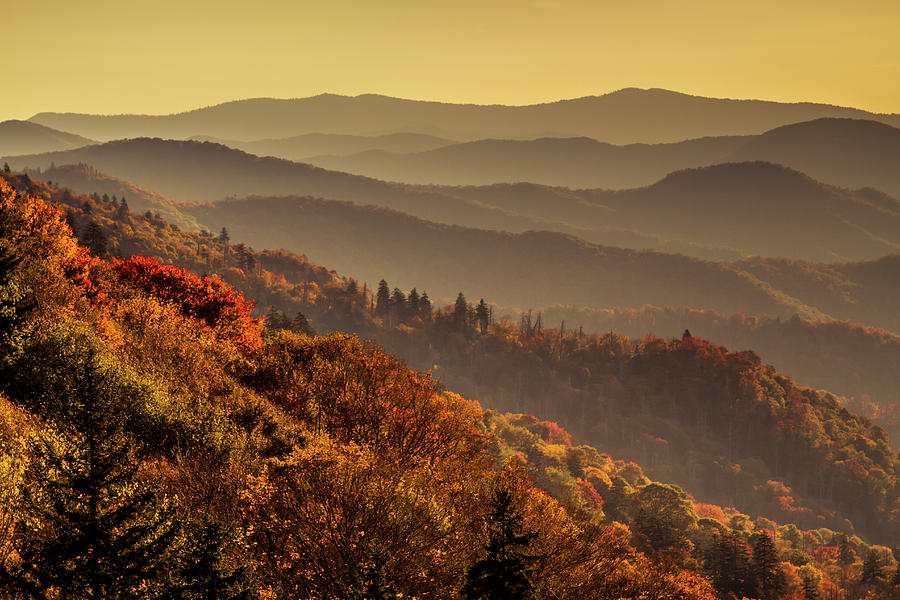 Smoky Mountains in the Morning Photograph by Teri Virbickis