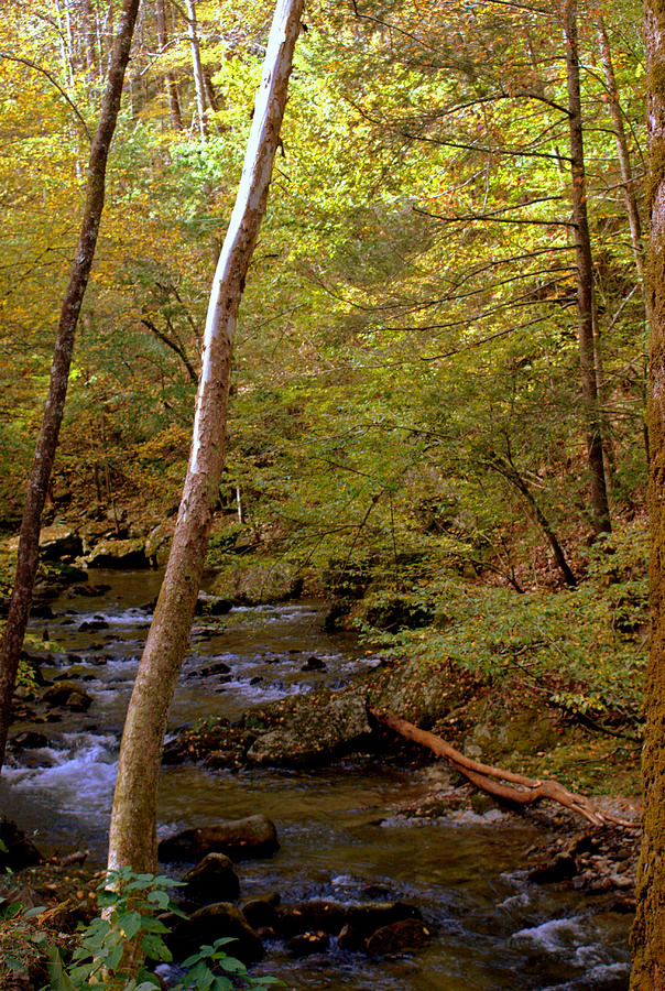 Smoky Mountains River Photograph by Jerry Cahill