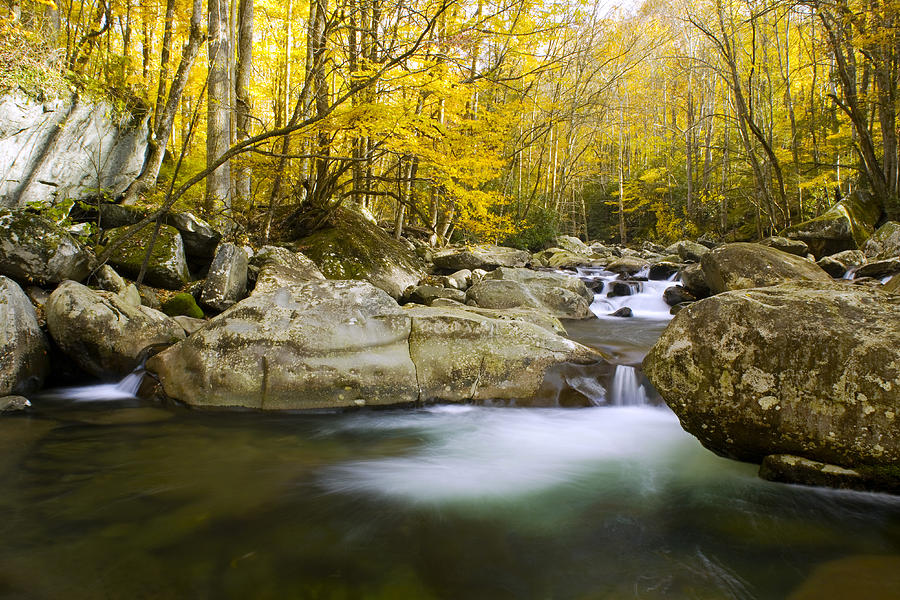 Fall Photograph - Smoky Mountains River by Richard Steinberger