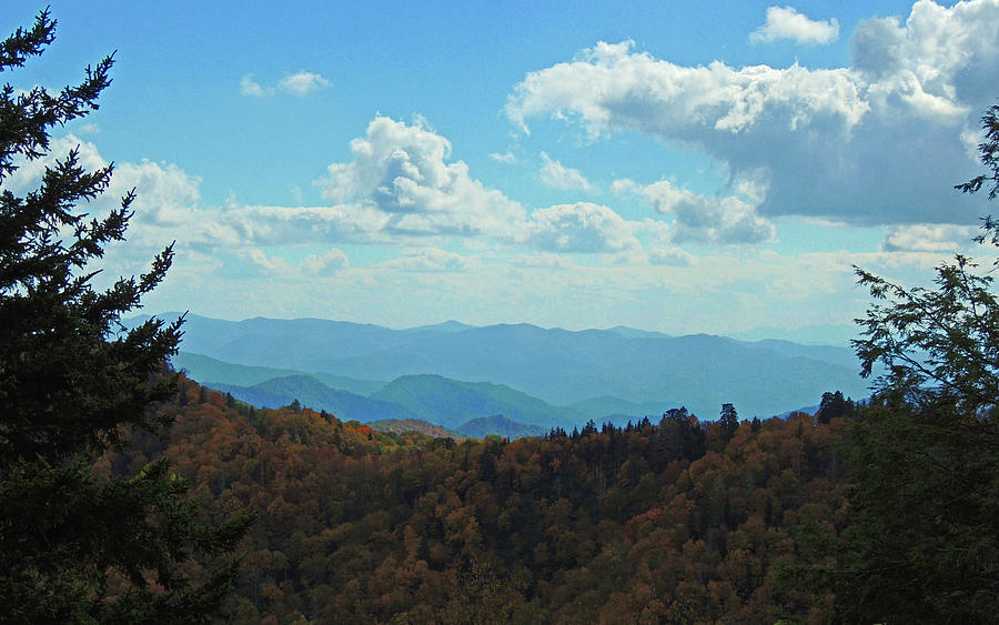 Smoky Mountains Scenery Digital Art by Marian Bell - Fine Art America